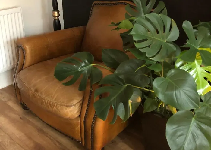 High Tor Nocleg ze śniadaniem Whitby